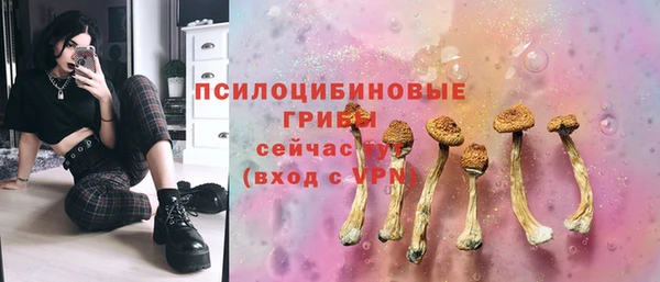ешки Алексеевка