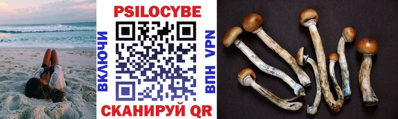 Псилоцибиновые грибы Psilocybe Дыгулыбгей