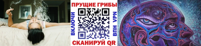 продажа наркотиков  Дыгулыбгей  Псилоцибиновые грибы мухоморы 